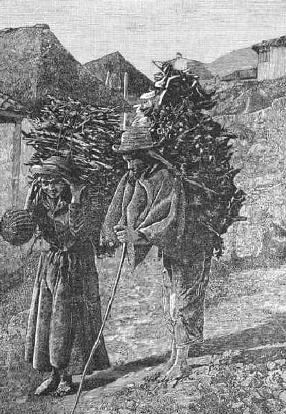 Lavoro e pigrizia: uno sguardo storico